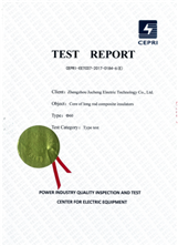 CEPRI test report
